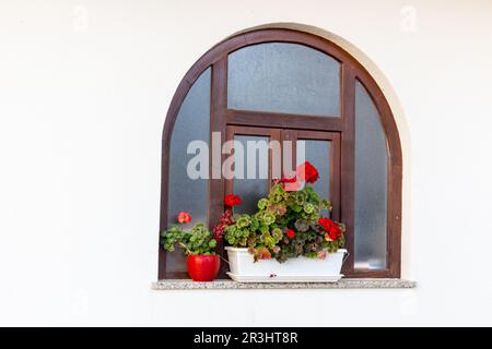 Fenster und rote Geranien Stockfoto