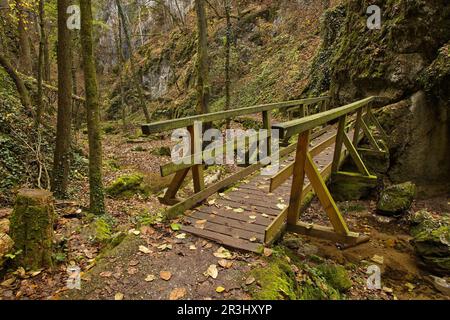 Wanderweg in Johannesbachklamm zwischen Würflach und Greith, Niederösterreich, Österreich, Europa, Mitteleuropa Stockfoto