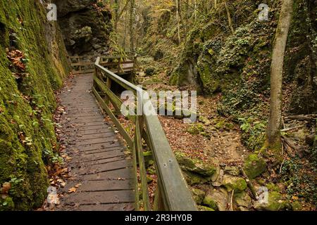 Wanderweg in Johannesbachklamm zwischen Würflach und Greith, Niederösterreich, Österreich, Europa, Mitteleuropa Stockfoto