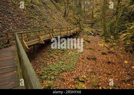 Wanderweg in Johannesbachklamm zwischen Würflach und Greith, Niederösterreich, Österreich, Europa, Mitteleuropa Stockfoto