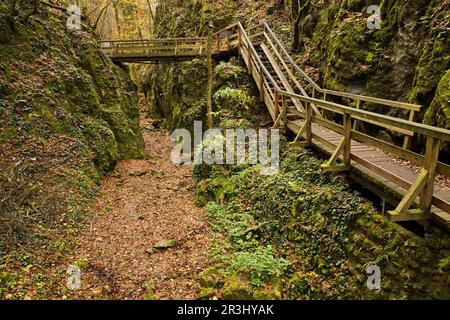 Wanderweg in Johannesbachklamm zwischen Würflach und Greith, Niederösterreich, Österreich, Europa, Mitteleuropa Stockfoto