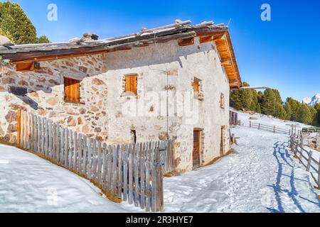 Hoch gelegene Berghütte zwischen schneebedeckten Gipfeln und Pinienwald Stockfoto