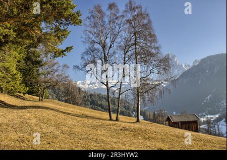 Berghütte im Tal mit Pinienwäldern und schneebedeckten Gipfeln im Winter Stockfoto