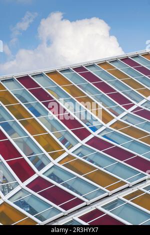 Bahnhof Gare de Liege-Guillemins in Lüttich, entworfen vom spanischen Architekten Santiago Calatrava. Das Glasdach des Bahnhofs ist transparent Stockfoto