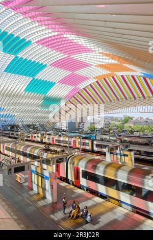 Bahnhof Gare de Liege-Guillemins in Lüttich, entworfen vom spanischen Architekten Santiago Calatrava. Das Glasdach des Bahnhofs ist transparent Stockfoto