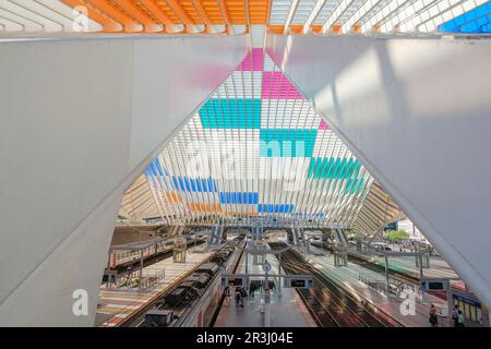 Bahnhof Gare de Liege-Guillemins in Lüttich, entworfen vom spanischen Architekten Santiago Calatrava. Das Glasdach des Bahnhofs ist transparent Stockfoto