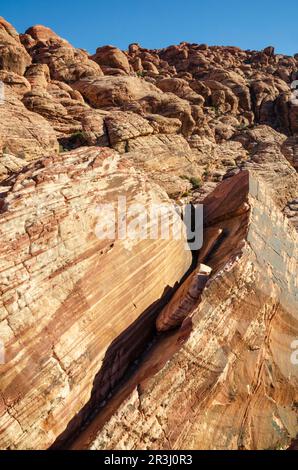 Vertikale Ansicht von zwei geneigten Platten aus fein gestreiftem hellbraunem und rostfarbenem Sandstein, die durch einen dunklen Riss im Red Rock Canyon National Conservation Area, Nevada, getrennt sind. Stockfoto