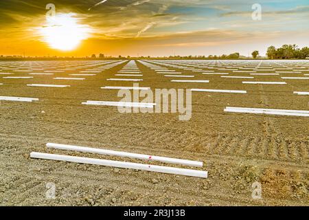 Geometrische Gestaltung von Stützpfählen auf Ackerland Stockfoto