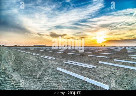 Geometrische Gestaltung von Stützpfählen auf Ackerland Stockfoto