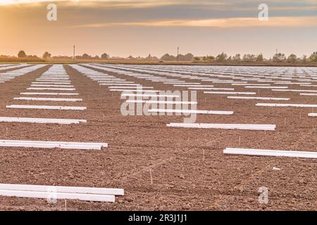 Geometrische Gestaltung von Stützpfählen auf Ackerland Stockfoto