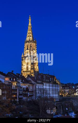 Bern, Schweiz - Dezember 26. 2020 Uhr: Die Münster in der Altstadt von Bern zur Blauen Stunde, Schweiz. Stockfoto