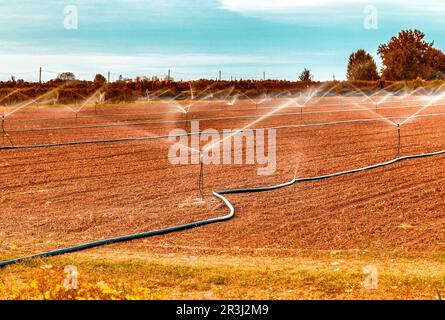 Bewässerung landwirtschaftlicher Felder mit Sprinklern Stockfoto