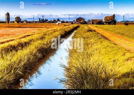 Bewässerungskanal in italienischem Landleben Stockfoto