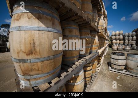 Glen Moray, Whisky, Destillerie, Elgin, Highland, Schottland, Großbritannien Stockfoto