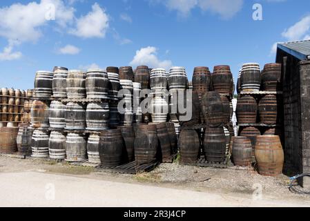 Glen Moray, Whisky, Destillerie, Elgin, Highland, Schottland, Großbritannien Stockfoto