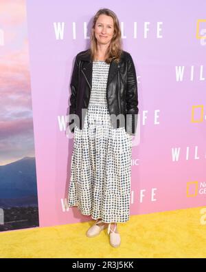 23. Mai 2023, Beverly Hills, Kalifornien, USA: Anna Barnes nimmt an der Premiere der „Wild Life“-Dokumentationsfilme von Los Angeles National Geographic Teil. (Kreditbild: © Billy Bennight/ZUMA Press Wire) NUR REDAKTIONELLE VERWENDUNG! Nicht für den kommerziellen GEBRAUCH! Stockfoto