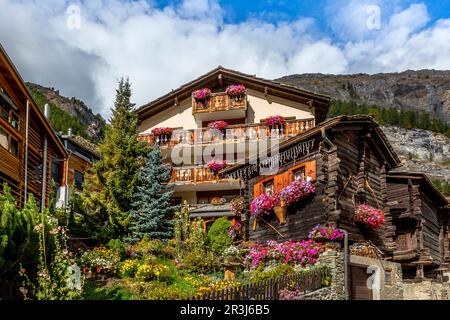 Traditionelles Holz-Bergchalet mit Geranienblüten am Fenster im Sommer, Zermatter Alpendorf, Schweiz, Schweizer Alpen Stockfoto