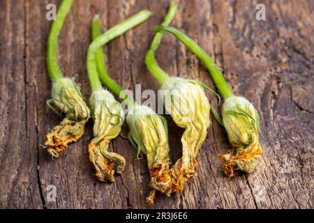 Zucchiniblumen auf dunklem Holz Stockfoto