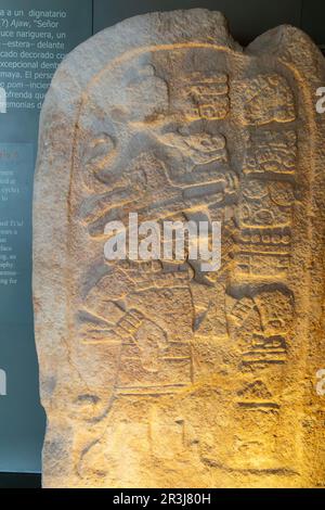 Stela-Bild von TZ'ul Ajaw, Lord Dog, 910 n. Chr. aus Itzimte, Museum für Maya-Archäologie, Campeche-Stadt, Mexiko Stockfoto