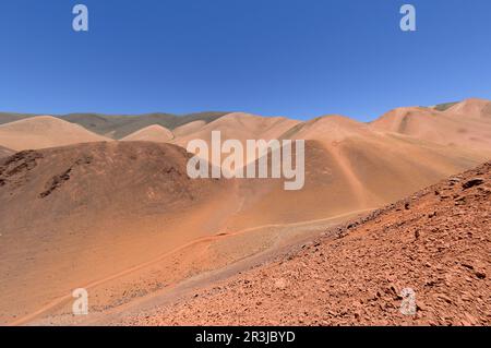 Reserva Provincial Las Vicuñas und der Laguna Brava, hohen Anden, der Provinz La Rioja, Argentinien Stockfoto