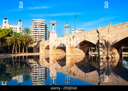 Die Puente del Mar ist eine Fußgängerbrücke, die den Fluss Turia in der Stadt Valencia in Spanien kreuzt Stockfoto