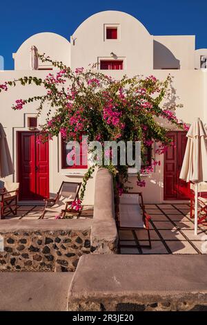 Weißes traditionelles Haus Oia mit roten Türen und Fenstern - Bougainvillea Flowers im Dorf Imerovigli auf der Insel Santorini, Griechenland - Stockfoto