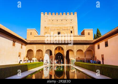 Der Hof der Myrtles ist der zentrale Teil des Comares-Palastes im Alhambra-Komplex in Granada, Spanien Stockfoto