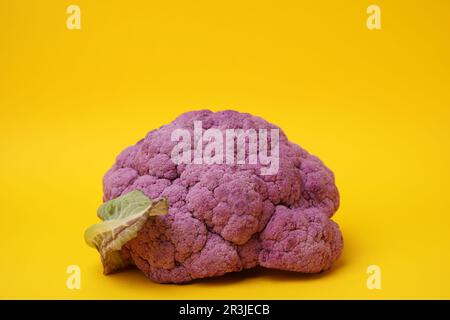 Frischer roher violetter Blumenkohl auf gelbem Hintergrund. Gesundes Essen Stockfoto