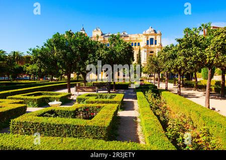 Öffentlicher Garten Jardines de Pedro Luis Alonso und Rathaus in Malaga. Malaga ist eine Stadt in der andalusischen Gemeinde in Spanien. Stockfoto