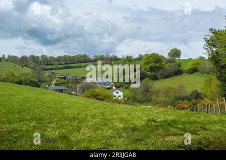 Stolford in den Brendon Hills im Frühling nahe Clatworthy, Somerset, England. Stockfoto