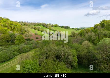 Der Blick über den River Tone vom Clatworthy Reservoir Damm in den Brendon Hills, Somerset, England. Stockfoto