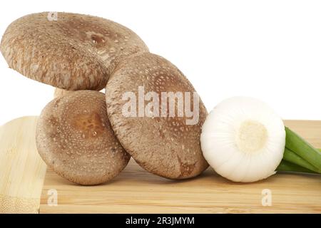 Shiitake-Pilze und verschiedene Zwiebelsorten auf einem Holzschneidbrett auf weißem Hintergrund. Rezepte und Heilkräuter Stockfoto