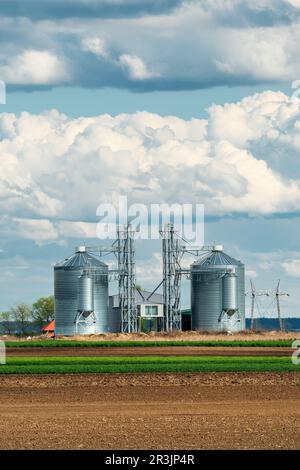 Ernteschutz in zwei großen Getreidesilos. Lagerung und Konservierung für wertvolle Ernten. Stahlkörner, die zur Lagerung von Getreide vor Ort verwendet werden. Stockfoto