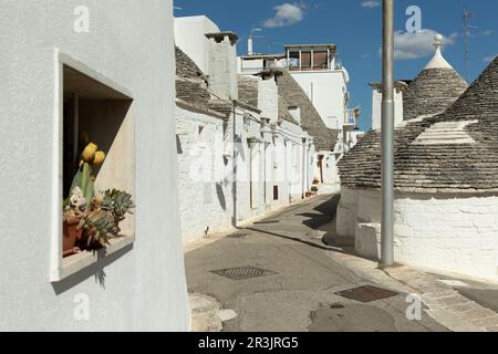 Trullo Häuser in Alberobello, Pulia, Italien Stockfoto