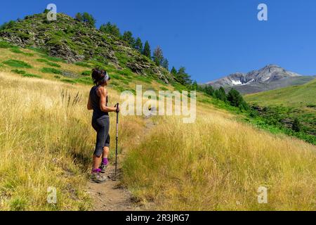 Señal de Biadós, Valle de Cinqueta de la Pez, Parque Natural Posets-Maladeta, Huesca, Cordillera de Los Pirineos, Spanien. Stockfoto