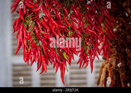 Typische Sirereta-Paprika, Wochenmarkt, Sineu, Mallorca, Balearen, Spanien. Stockfoto