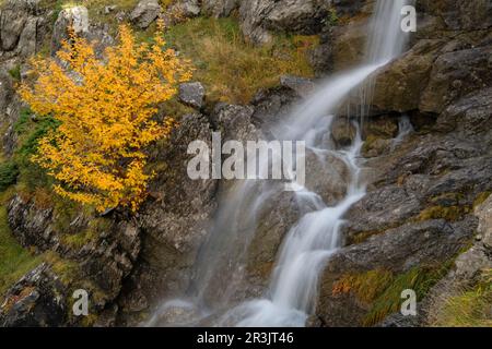 Weg GR11, Schlucht von Agüerri, westliche Täler, Pyrenäengebirge, Provinz Huesca, Aragon, Spanien, europa. Stockfoto