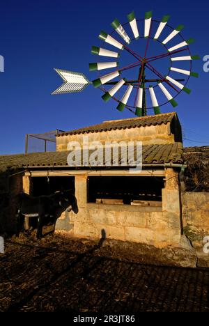 Molino de Agua para Extraccion (s. XIX-XX). Cami de Sa pedra rodona.Campos.Comarca de Migjorn. Mallorca. Balearen. España. Stockfoto