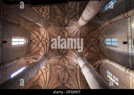 Colegiata de Santa María del Mercado, Gótico - renacentista, construída Entre 1526-1530, por el arquitecto Juan de Rasines, Berlanga de Duero, Soria, Comunidad Autónoma de Castilla y León, Spanien, Europa. Stockfoto