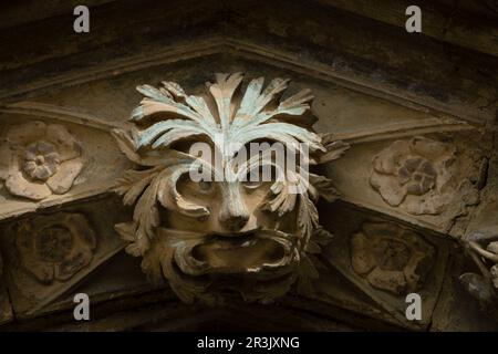 Portada Labrada, Iglesia de Santa Maria, Siglo XIII, Olite, Comunidad foral de Navarra, Spanien. Stockfoto