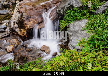 Toktok. Sagarmatha Nationalpark, Khumbu Himal, Nepal, Asien. Stockfoto