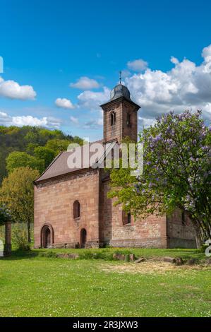 Späte Romanische St. Nicholas Chapel, Klingenmünster, Pfalz, Rheinland-Pfalz, Deutschland, Europa Stockfoto