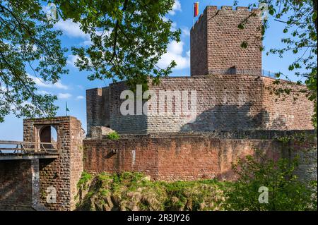 Ring Wall and Keep of Landeck Castle, Klingenmunster, Pfalz, Rheinland-Pfalz, Deutschland, Europa Stockfoto