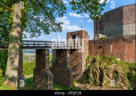 Eingang und Brückenturm von Schloss Landeck, Klingenmünster, Pfalz, Rheinland-Pfalz, Deutschland, Europa Stockfoto