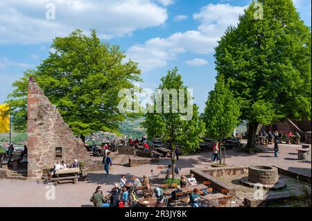 Biergarten im Schlosshof Landeck, Klingenmünster, Pfalz, Rheinland-Pfalz, Deutschland, Europa Stockfoto