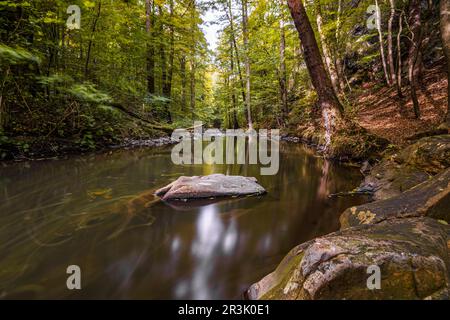 Herbstmagie in der Georgewitzer Skala/ LÃ¶bauer Wasser 3 Stockfoto