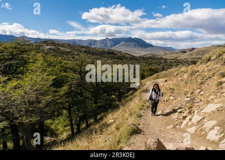 Senda al campamento De Agostini y ein Laguna Torre, El Chalten, Parque Nacional Los Glaciares, Republica Argentinien, Patagonien, Cono Sur, Südamerika. Stockfoto