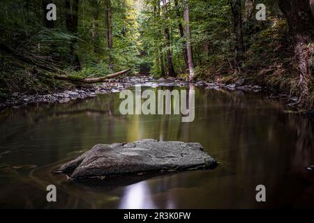 Herbstmagie auf der Georgewitzer-Skala / LÃ¶bauer Water 1 Stockfoto