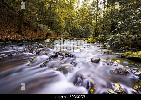 Herbstmagie in der Georgewitzer Skala/ LÃ¶bauer Wasser 2 Stockfoto