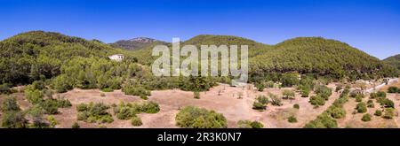 Pinar de Canet, Esporles, Sierra de Tramuntana, Mallorca, Balearen, Spanien, Europa. Stockfoto